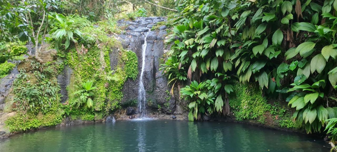 Gite Kaz A Topaze, Piscine, Jardin Tropical Sainte-Rose Exteriér fotografie