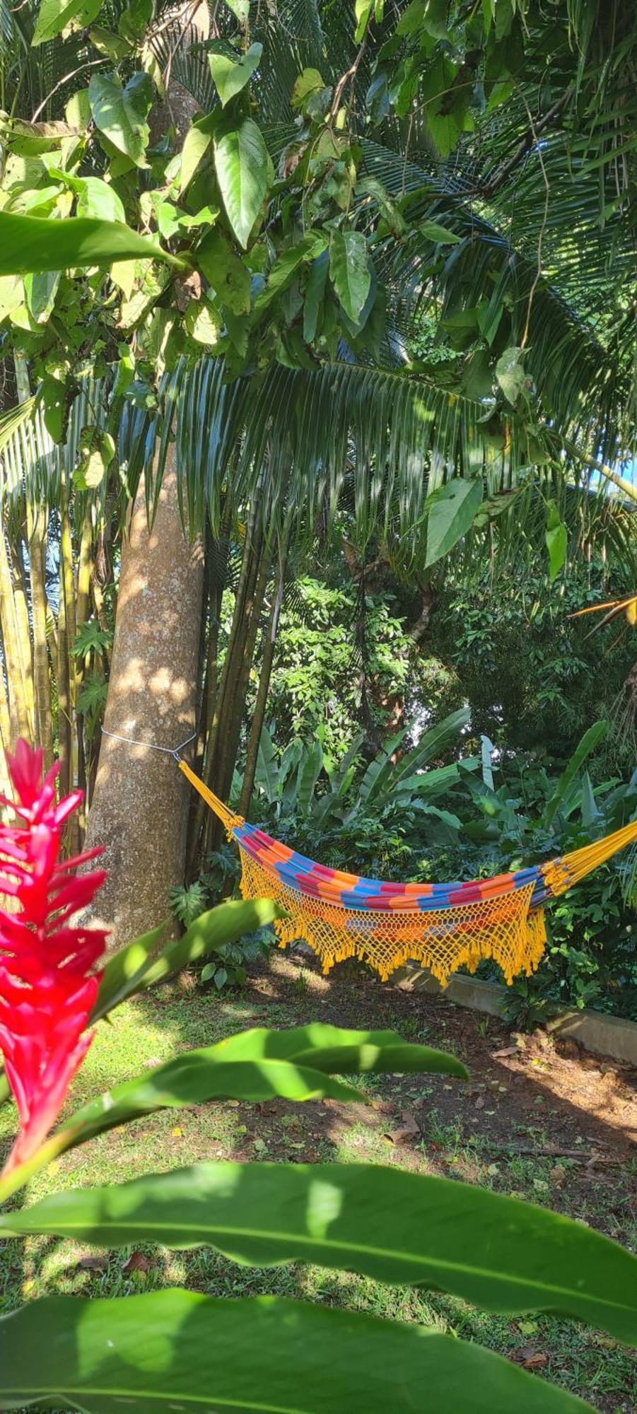 Gite Kaz A Topaze, Piscine, Jardin Tropical Sainte-Rose Exteriér fotografie
